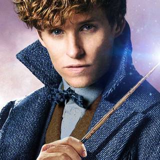 Newt Scamander and Harry Potter wallpaper