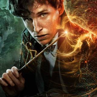 Newt Scamander and Harry Potter wallpaper