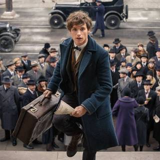 Newt Scamander and Harry Potter wallpaper