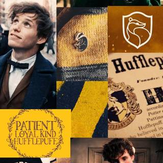 Newt Scamander and Harry Potter wallpaper
