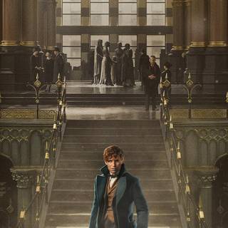 Newt Scamander and Harry Potter wallpaper