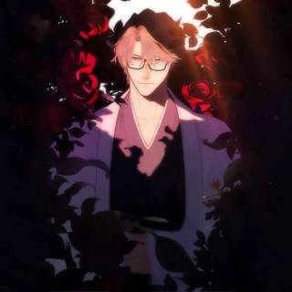 Aizen desktop wallpaper