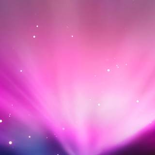 iPhone X leopard wallpaper