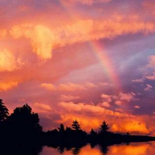 iPhone X sunset wallpaper