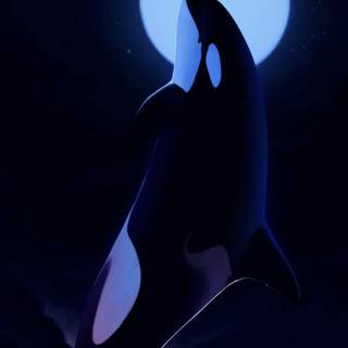 Orca phone wallpaper