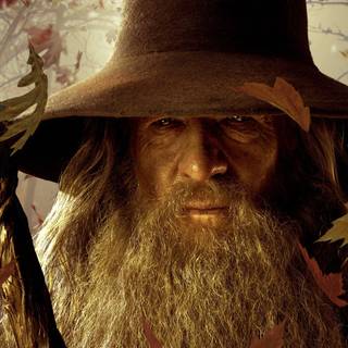 Lord of the Rings Gandalf wallpaper