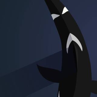 Orca phone wallpaper
