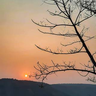 iPhone X sunset wallpaper