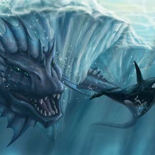 Desktop orcas wallpaper