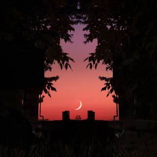 iPhone X sunset wallpaper