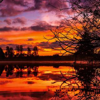 iPhone X sunset wallpaper