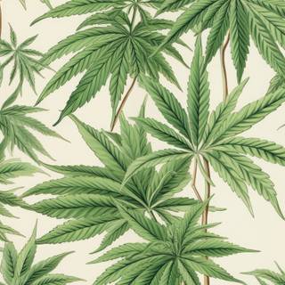 Weed iPhone X wallpaper