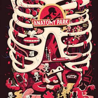 Anatomy iPhone wallpaper