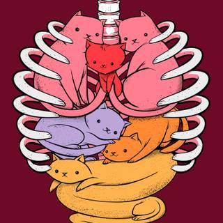 Anatomy iPhone wallpaper