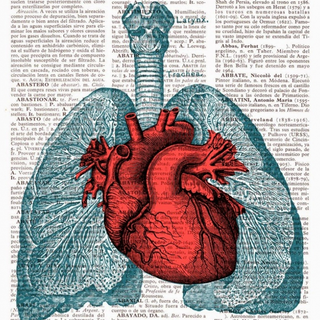 Anatomy iPhone wallpaper