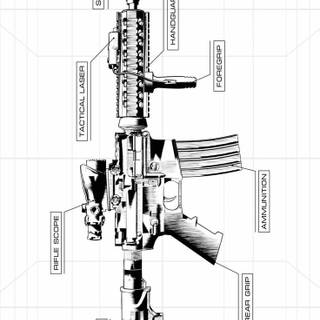 Anatomy iPhone wallpaper