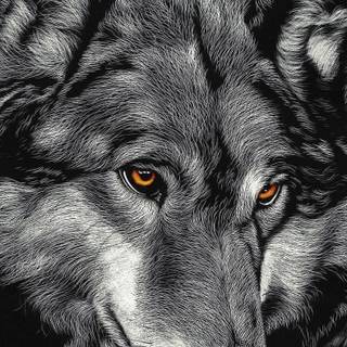Wolf iPhone X wallpaper