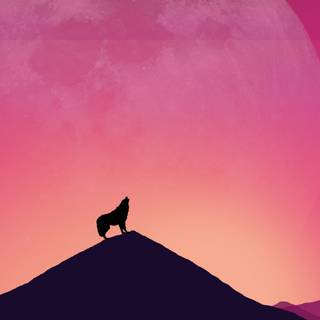 Wolf iPhone X wallpaper