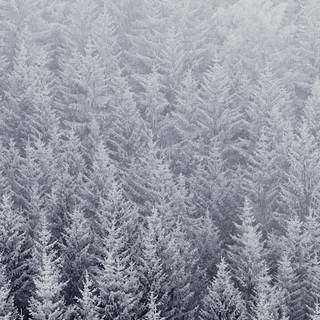 iPhone X orignal wallpaper