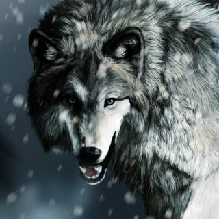 Wolf iPhone X wallpaper