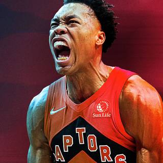 Toronto Raptors phone wallpaper