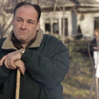 Tony Soprano 4k wallpaper