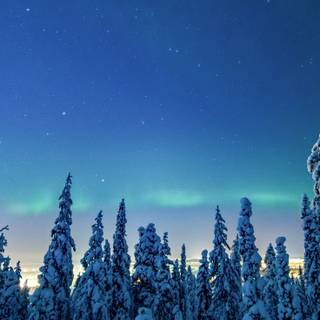 Snow iPhone X wallpaper