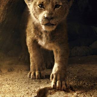 iPhone X lion wallpaper