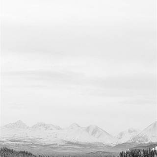 Snow iPhone X wallpaper