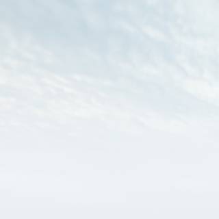 Snow iPhone X wallpaper