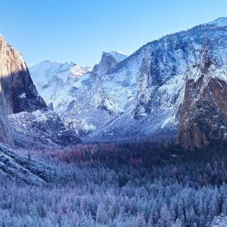 Snow iPhone X wallpaper