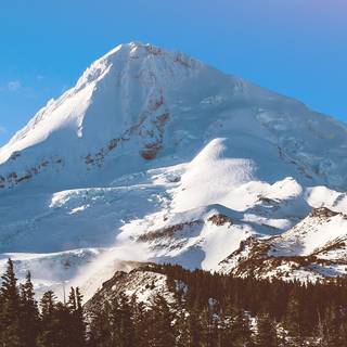 Snow iPhone X wallpaper