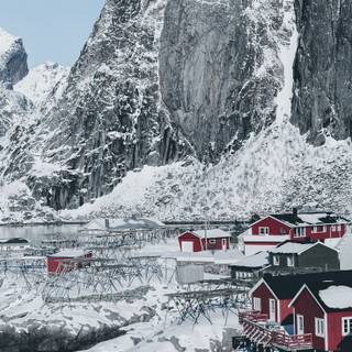 Snow iPhone X wallpaper