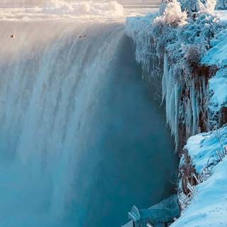 Snow iPhone X wallpaper