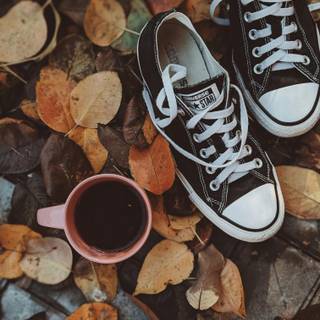 Converse phone wallpaper