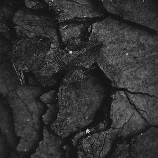 Savage iPhone wallpaper