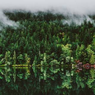 Nature 1280x960 wallpaper