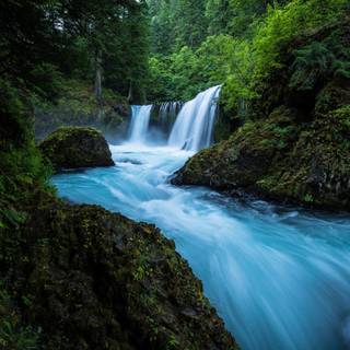 Nature 1280x960 wallpaper