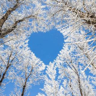 Nature 1280x960 wallpaper