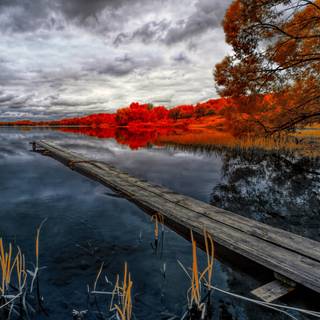 Nature 1280x960 wallpaper