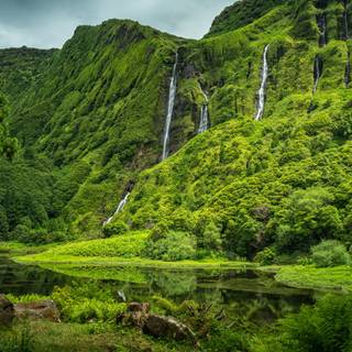 Nature 1280x960 wallpaper