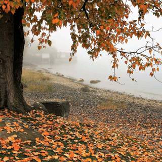 Nature 1280x960 wallpaper