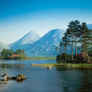 Nature 1280x960 wallpaper