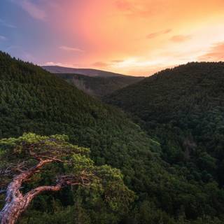 Nature 1280x960 wallpaper