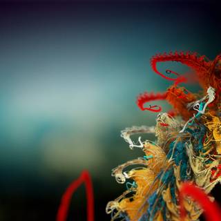 Nature 1280x960 wallpaper