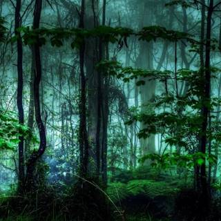 Nature 1280x960 wallpaper