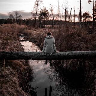 Nature 1280x960 wallpaper