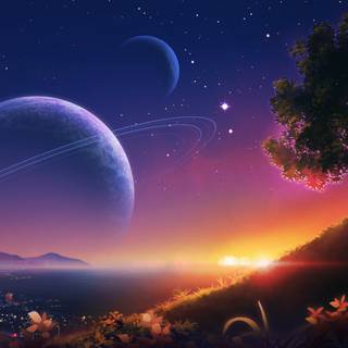 Nature 1280x960 wallpaper