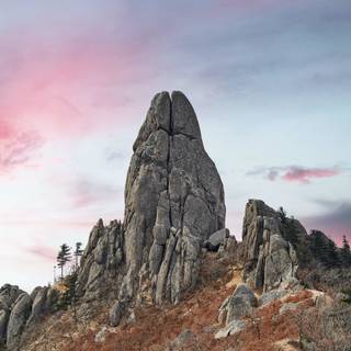 Nature 1280x960 wallpaper