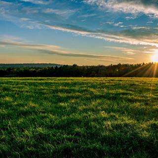 Nature 1280x960 wallpaper